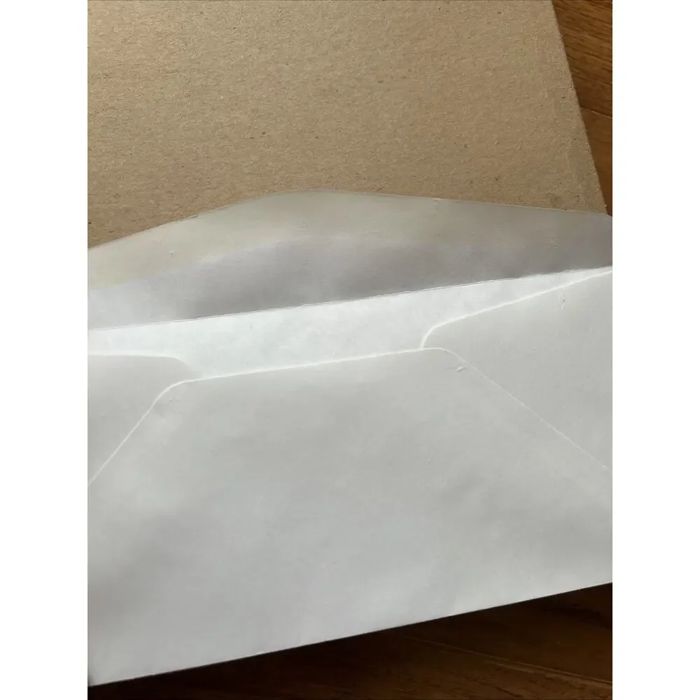 Security Letter White Business Envelopes Bulk 500 Gummed Office Mailing New